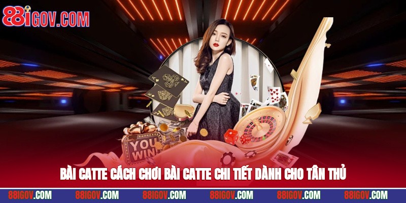 Bài Catte - Cách Chơi Bài Catte Chi Tiết Dành Cho Tân Thủ