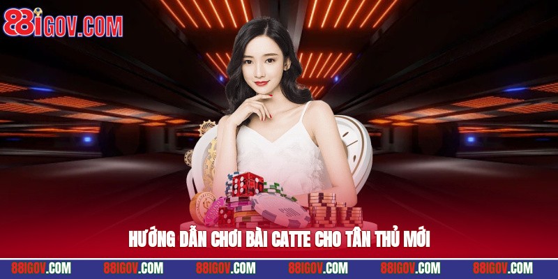 Hướng dẫn chơi bài catte cho tân thủ mới